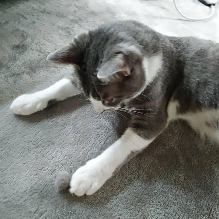 C138af2f 73bd 451b a11e be2b2a94f463 1591484474830