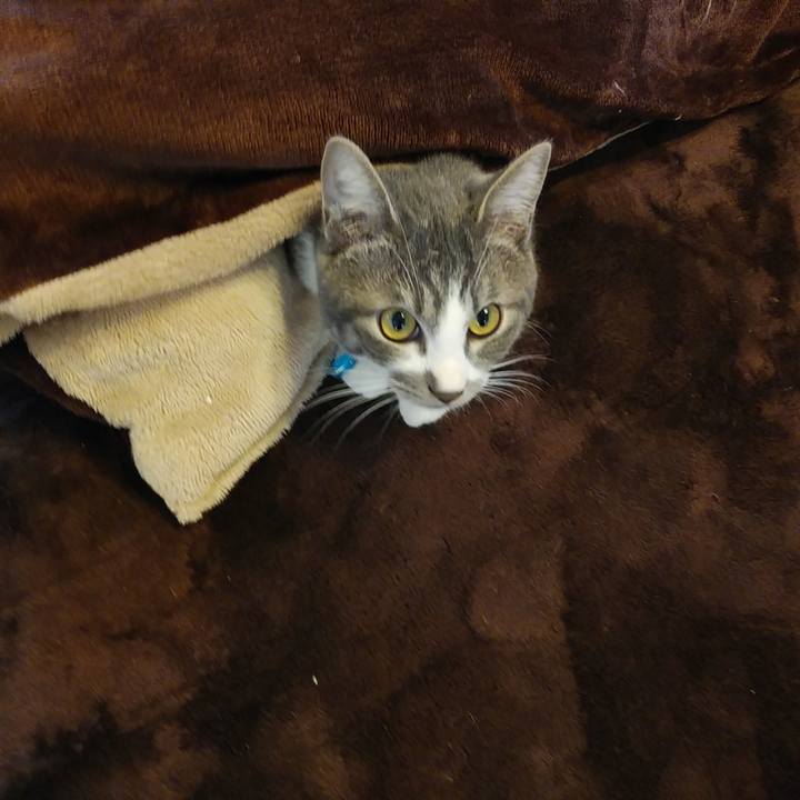 C138cb56 8707 4dd4 b80b 1f2e04268bb5 1577487778242