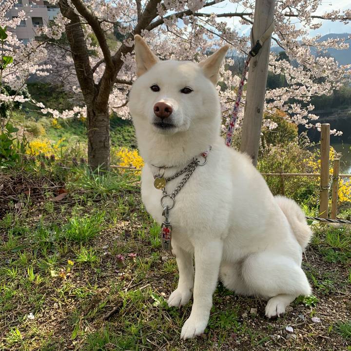 C138d3ae cd84 4688 8bc9 457eea5d8359 1585787066523