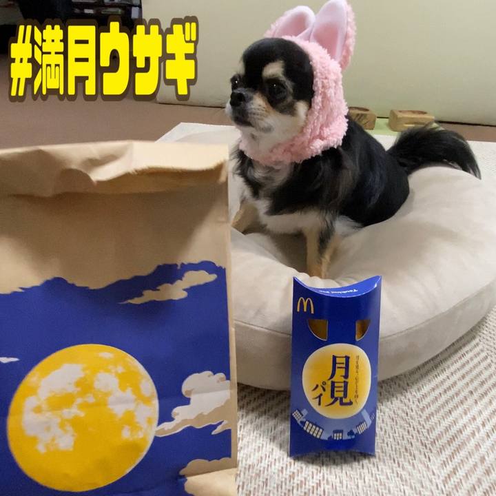 C1392035 ea50 4854 bd51 fb2d7cd42739 1662764974298