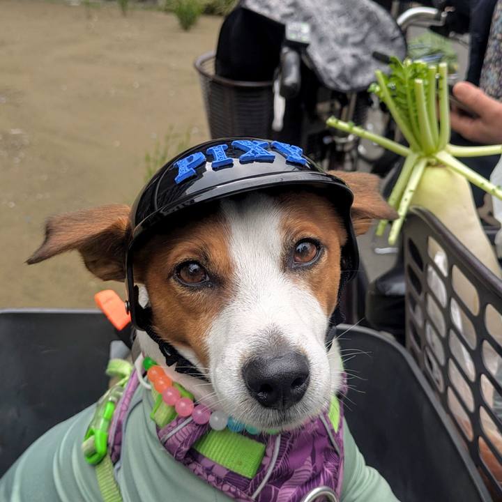 C13924a0 f0cc 45d5 82a5 b1fa7fb7427c 1730869026114