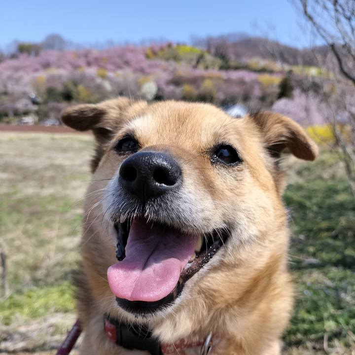 C1393358 118e 4c5b a1d0 298e457b882e 1743857719705