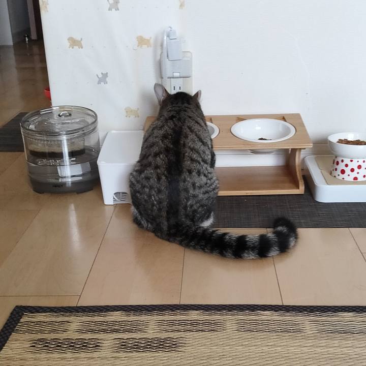 C1393757 ab60 4cf1 8265 93a0195f627d 1631662748937