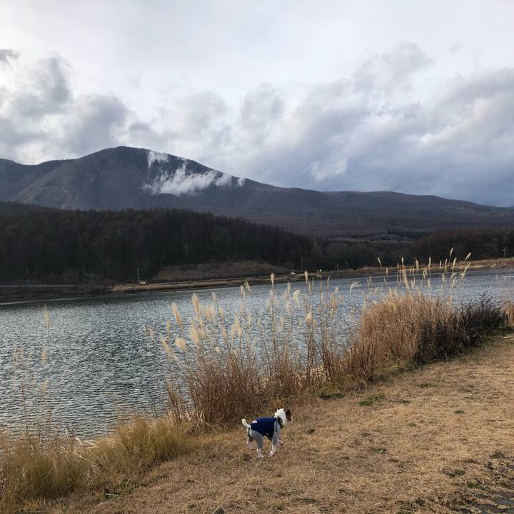 C1393b50 50d5 4b77 a1c2 3559f89cbd83 1544176033468