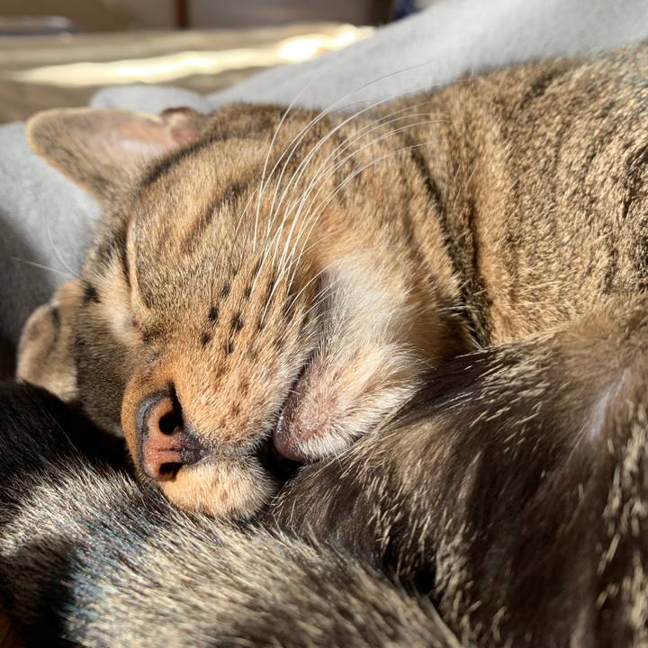 C1398e33 368b 4058 8579 93fb0a41e6d8 1547512748364