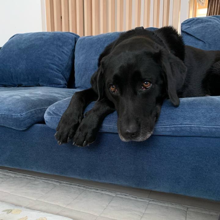 C1398fc1 94d6 4097 8cb2 17b79a13efa9 1661680889291