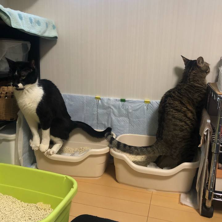 C13999ed 6c2a 471d b970 59c136d82d78 1580072273311