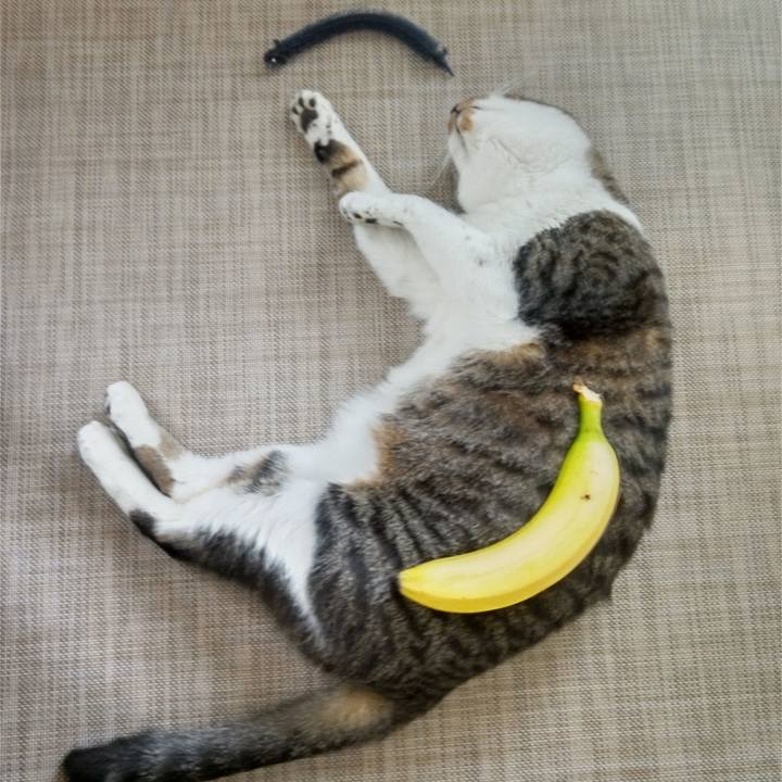 C139a55e 390c 416f b80d c805d03ce0f5 1766978098177