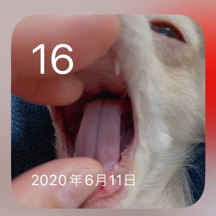 C139b890 297d 42dc a16d 0416e8b61d91 1718543432276