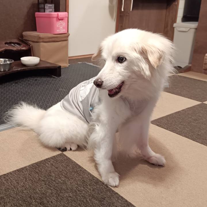 C139e35e b1a4 4037 a66e 720aee8ad14d 1757249881436