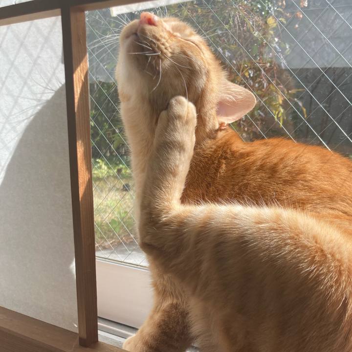 C139e9b5 aee2 4bfe b25d 629c0212ee97 1647146125546