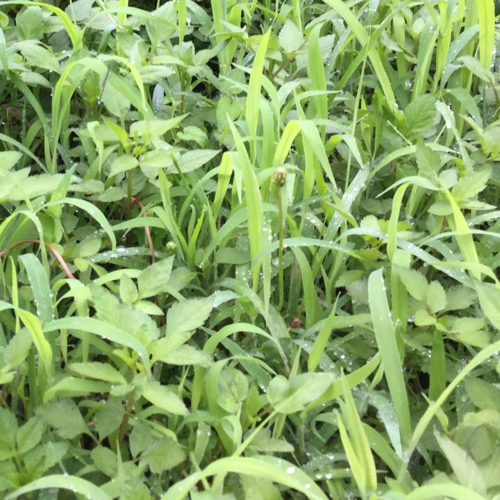 C13a9063 c278 44c7 aab7 aceb7107bab7 1566434650384