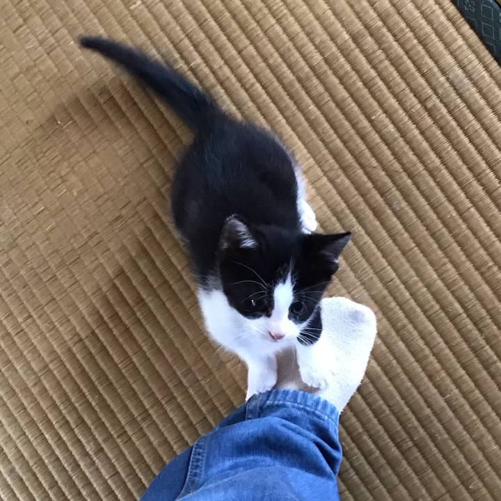 C13aa97c c31e 49d5 8a57 38609197297f 1624151878268