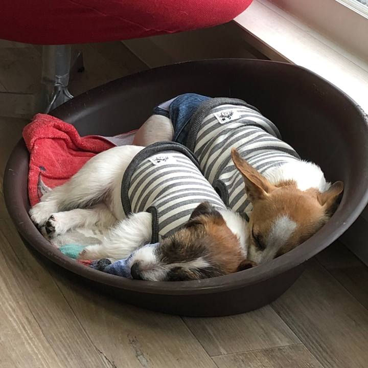 C13aac2f ffbf 47a7 8129 bb5fb0601b9c 1580294863100