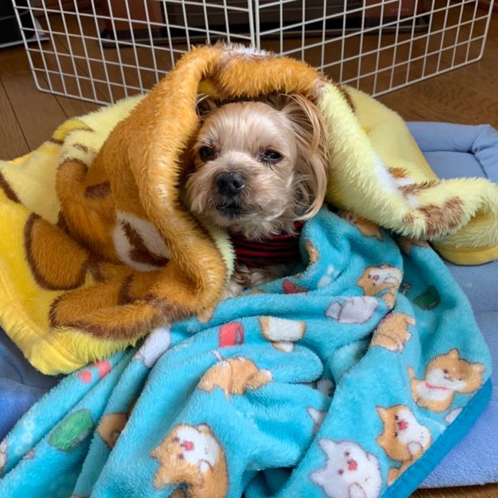 C13aba85 f6e8 4ec7 8ab0 428ba716f724 1611220284512