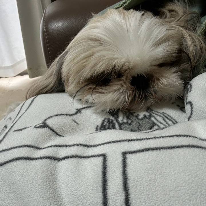 C13abbc8 fb59 4b5e b9f8 27aefe9fe45f 1708681519873