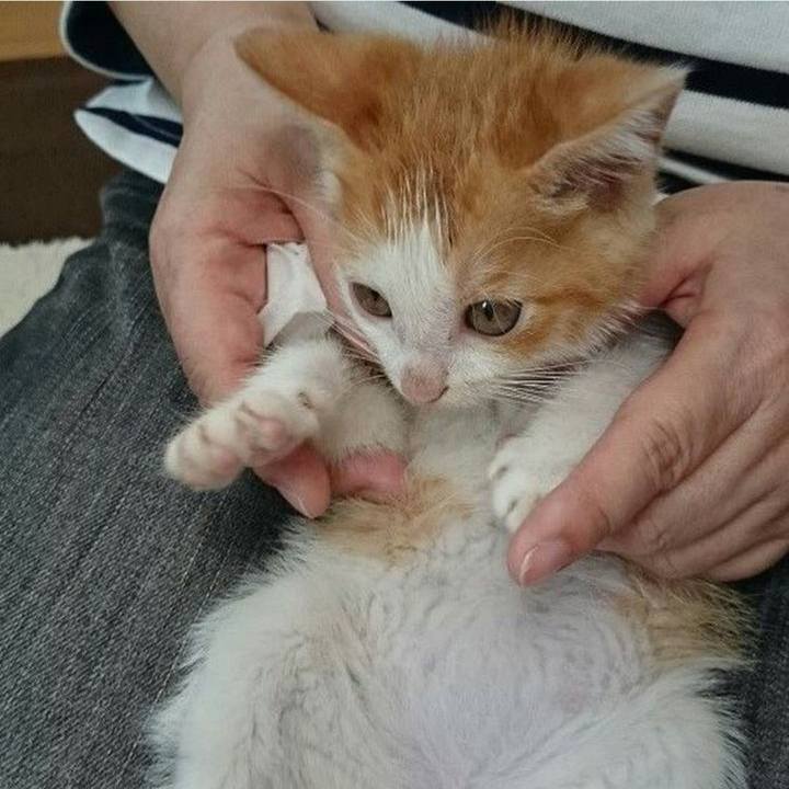 C13aebb5 e18a 427d 965c cfb77a9e96e4 1591006931439