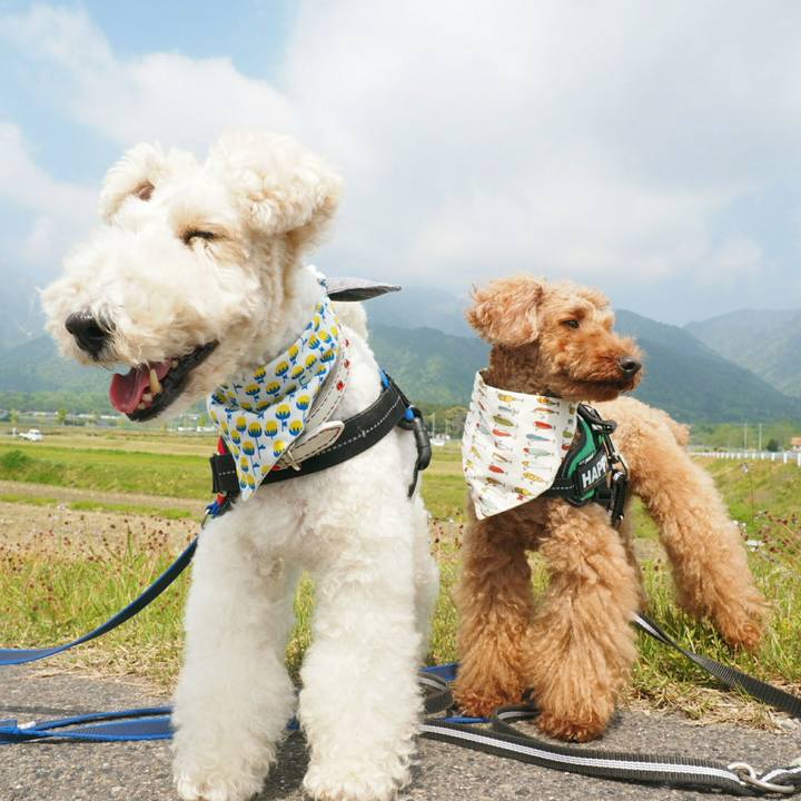 C13b177c ba40 4295 88ec 422fee880b57 1524891962935