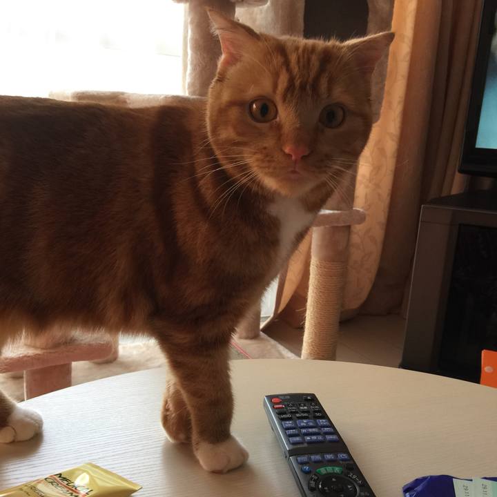 C13b2c63 73ab 4b58 81ff 14139133c197 1512605356503