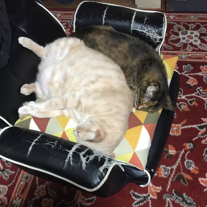 C13b428e 505e 4fcf 8b8a aa749cff382f 1567589228901