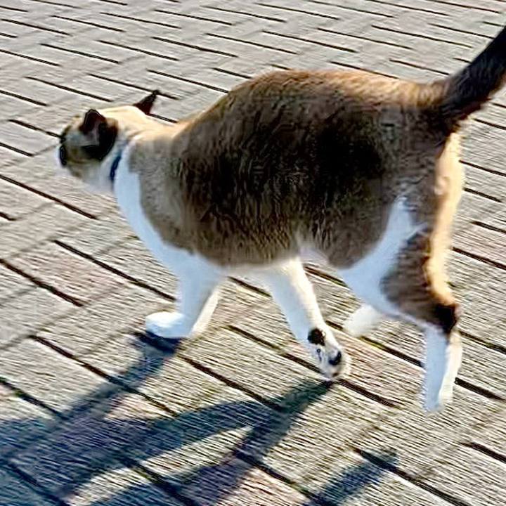 C13b608f 8e79 44bb 8993 b1e75f954a61 1734867874323