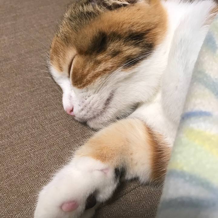 C13b8366 ceea 43a7 94d9 f18c1c318f48 1510744627249