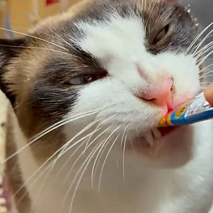 C13bd1b8 7248 4e5d 88db b8acdcc9c8e5 1753013226777