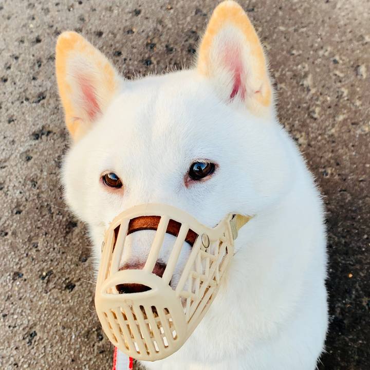 C13c1b77 86c4 43a1 9897 c2790525a68e 1570657932343