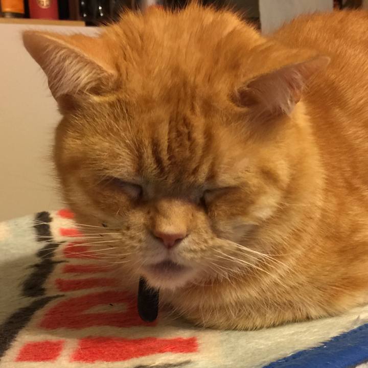 C13c273a f499 47ee a015 bea819c1d1a7 1547738449472