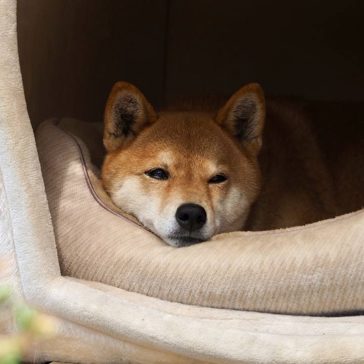 C13c2b56 326e 4a27 9834 8c62d688c77d 1774935768849