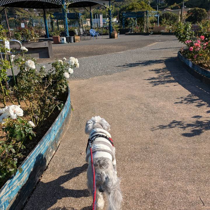 C13c7cce d63d 447a 90fc c0b72baf7873 1764421849141