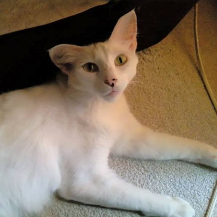 C13c8874 a6ae 4942 a275 4c63d0d51028 1688853465094