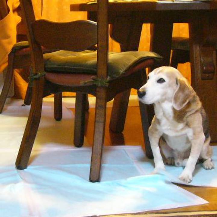 C13cc809 82e2 4313 9c5e e4cc8eebdde2 1680051335631