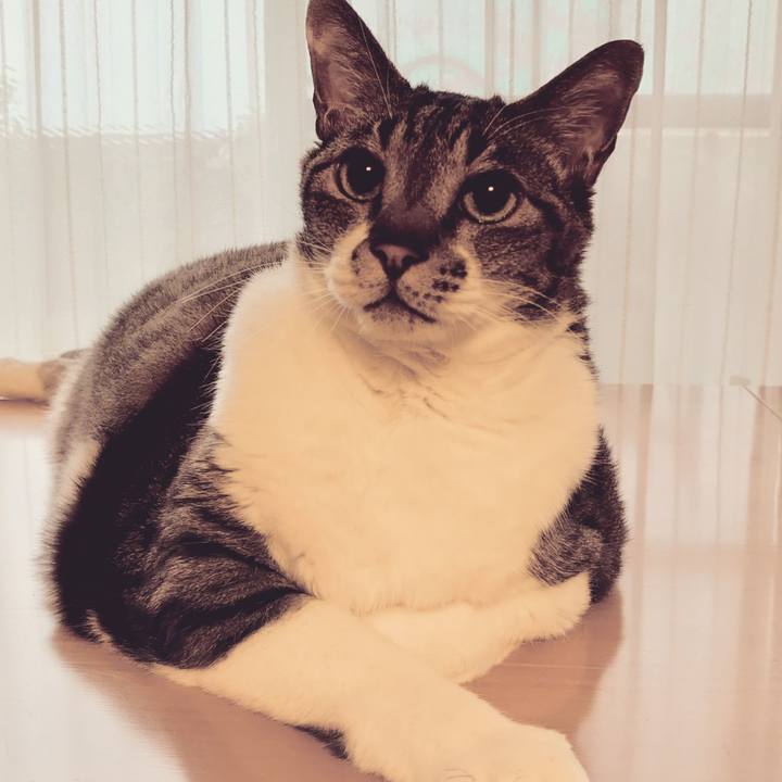 C13ccea7 6918 45ef 9038 f9672a52cc6a 1686616572221