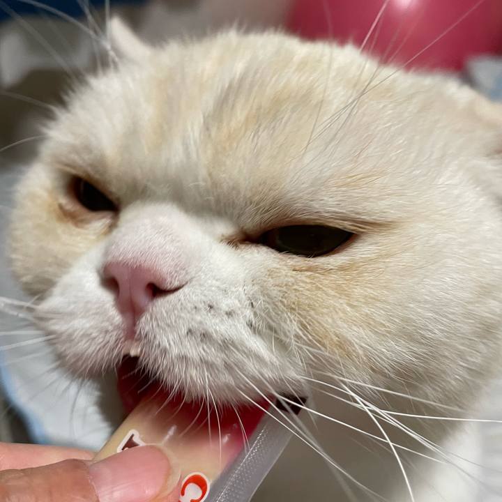 C13cdedd 2c29 485f a55a 81cdee0ca532 1644064557412