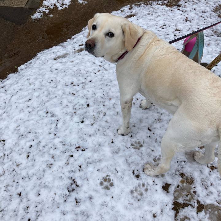 C13d08cf d4b5 4808 84f2 ccdaba178190 1709944660923