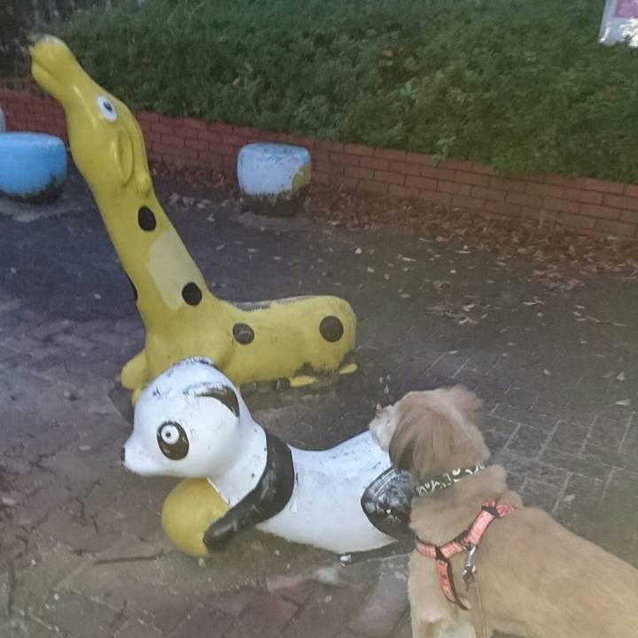 C13d1092 ff11 4115 b1aa 5edf23561b63 1511998464093