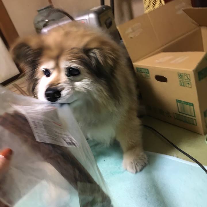 C13d3aab 067a 4efa 98f2 60ac19e856d9 1582570101174