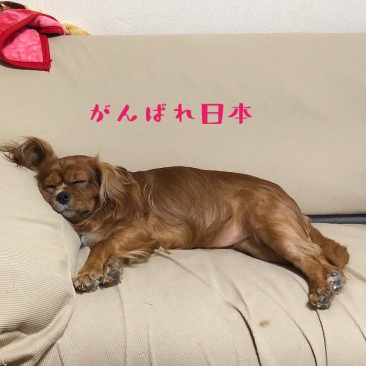 C13d9914 91a3 451d 9d4b 41df6c8e2bd5 1570271994591