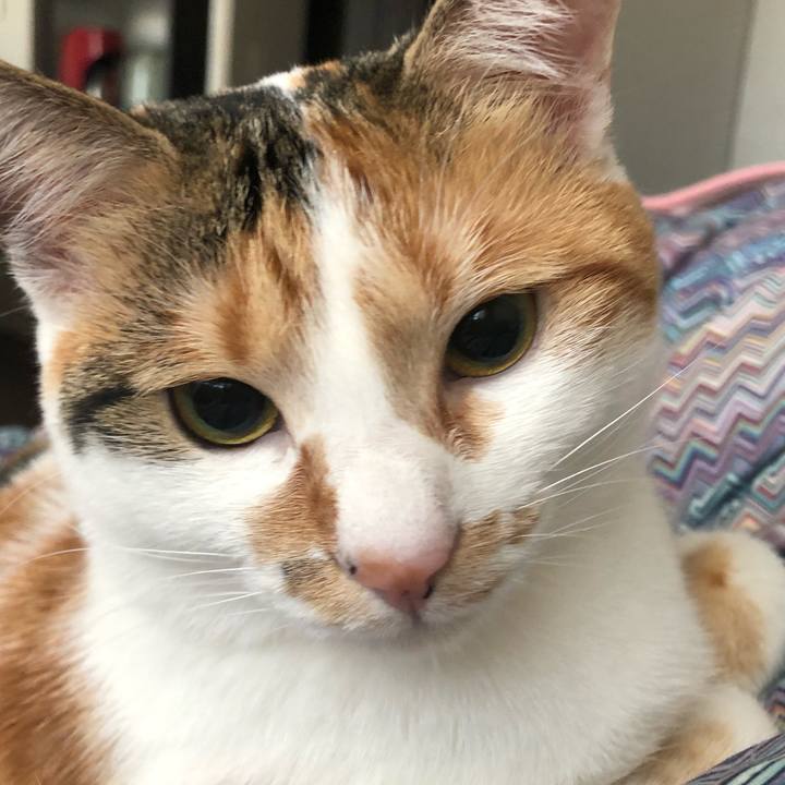 C13dd957 1be4 442b aa1b 35cefd505524 1587425511111