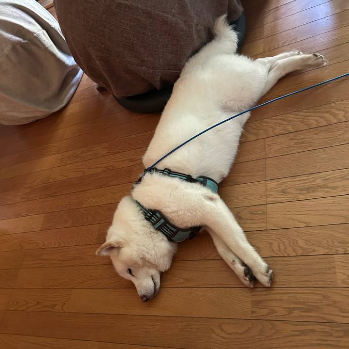 C13e3d1e 70d9 4d14 827e df4a9e61d696 1753402244711