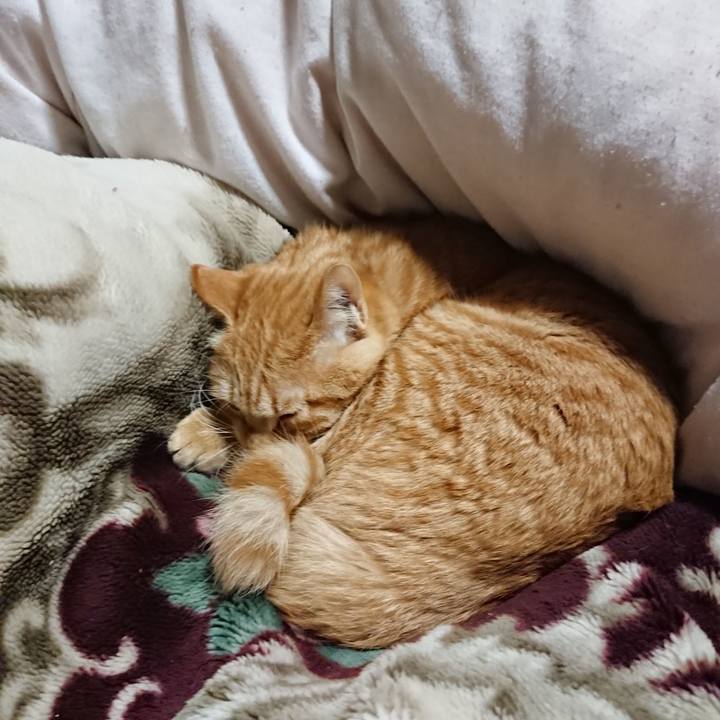 C13e461b 2ca4 4cdb 9ac7 625c875ea1a5 1641384397543