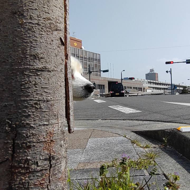 C13e4d95 d8df 4681 b7f3 4d3741f00546 1646529642383