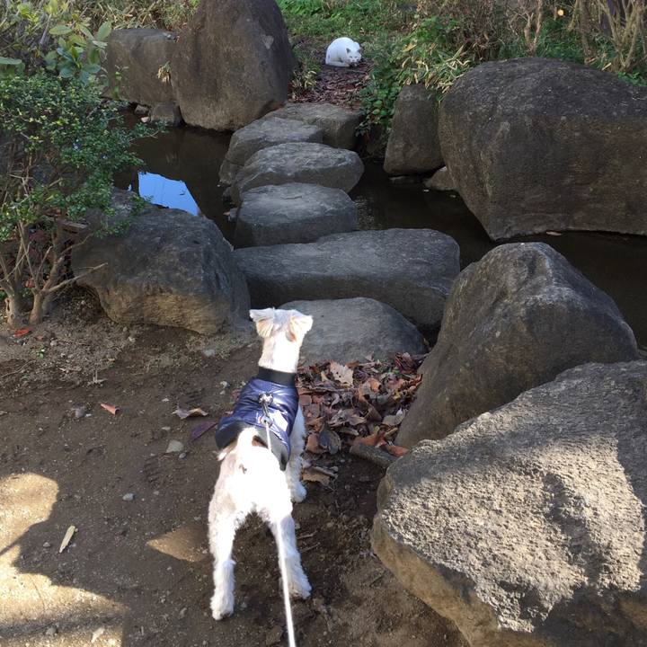 C13e5f04 6c04 4711 9982 d9516853e499 1546677023895