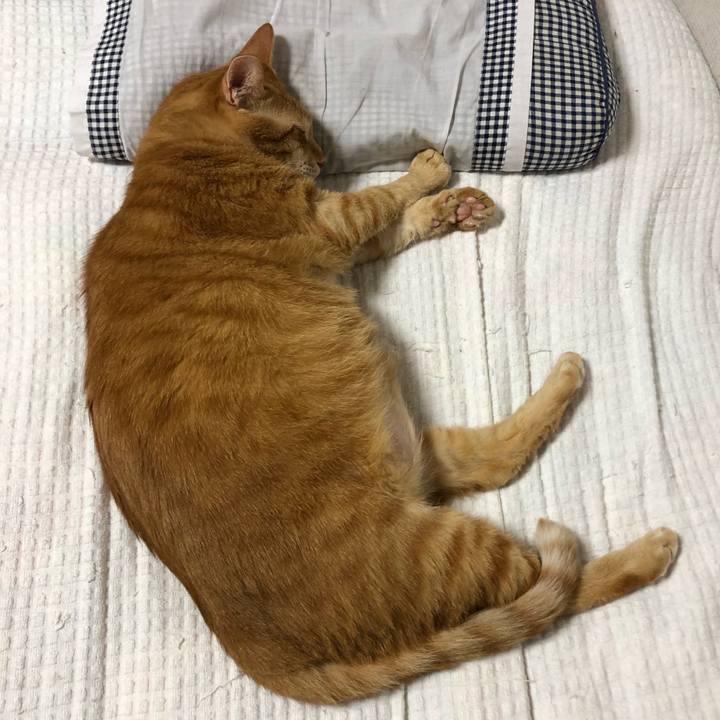 C13e959b 2a5b 4683 aa57 7bbd5960abba 1600261804323