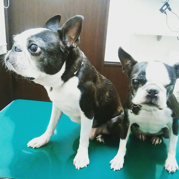 C13ebec2 de18 4946 b08b d1270c136ec1 1512214317278