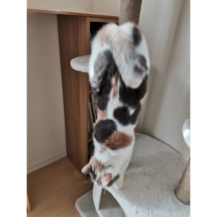 C13ece80 3fee 4125 9e51 9a0f88f7e43f 1675746047823