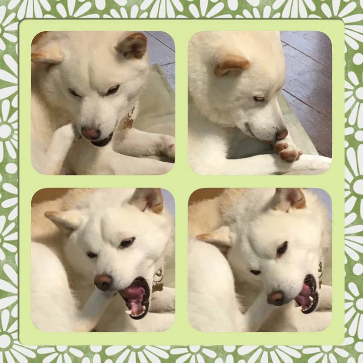 C13edb24 24c7 46ab 9498 7c48f2871b24 1516416483520