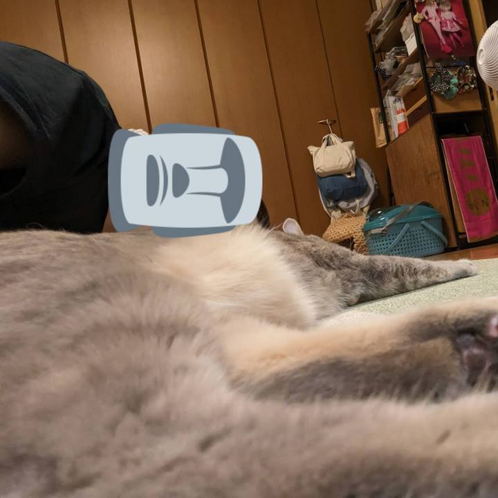 C13ee03f a598 49dc afa4 847694b2f1f0 1692677386317