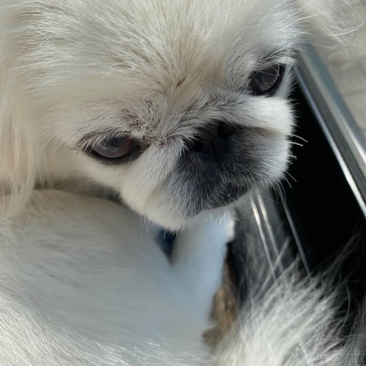 C13ee384 d546 45ff 8023 07885fd187a9 1585961754117